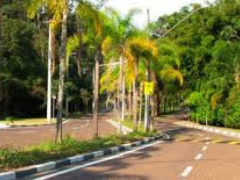 Barro Branco