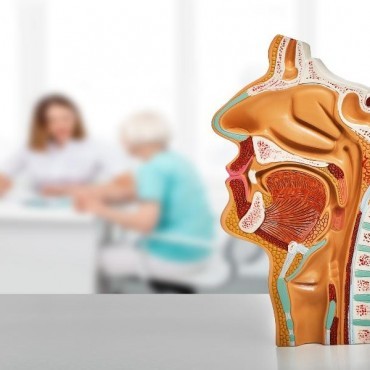 Consulta Otorrinolaringologista em São Tomé