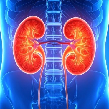 Ultrassom de Rins e Vias Urinárias em Americano